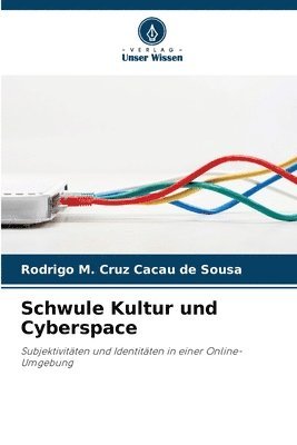 bokomslag Schwule Kultur und Cyberspace