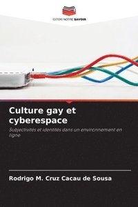 bokomslag Culture gay et cyberespace