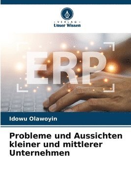 Idowu Olawoyin - Probleme und Aussichten kleiner und mittlerer Unternehmen, Häftad