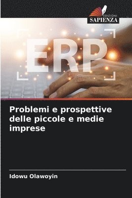 Problemi e prospettive delle piccole e medie imprese 1