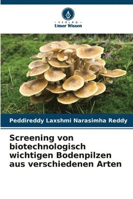 bokomslag Screening von biotechnologisch wichtigen Bodenpilzen aus verschiedenen Arten