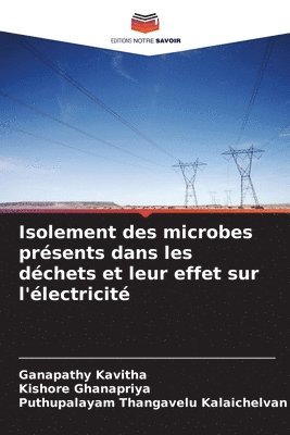 Isolement des microbes présents dans les déchets et leur effet sur l'électricité