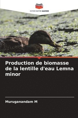 Production de biomasse de la lentille d'eau Lemna minor 1