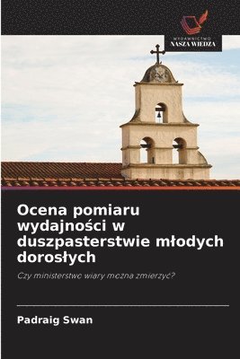 bokomslag Ocena pomiaru wydajno&#347;ci w duszpasterstwie mlodych doroslych