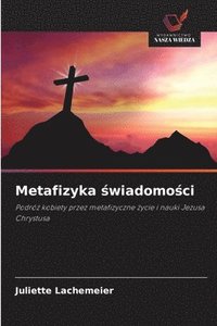 bokomslag Metafizyka &#347;wiadomo&#347;ci