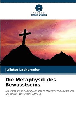 Juliette Lachemeier - Metaphysik des Bewusstseins, Häftad
