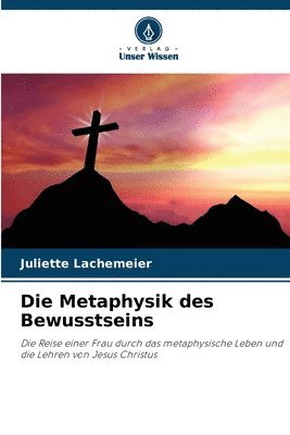 Die Metaphysik des Bewusstseins 1