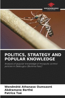 bokomslag Politics, Strategy and Popular Knowledge