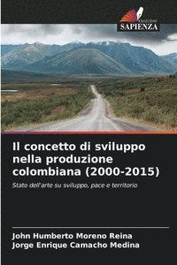 bokomslag Il concetto di sviluppo nella produzione colombiana (2000-2015)