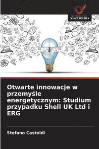 bokomslag Otwarte innowacje w przemy&#347;le energetycznym