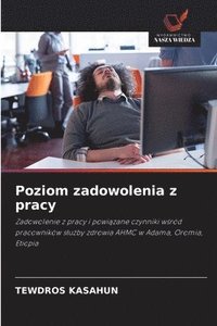 bokomslag Poziom zadowolenia z pracy