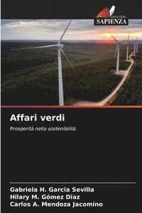 bokomslag Affari verdi