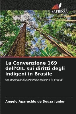 bokomslag La Convenzione 169 dell'OIL sui diritti degli indigeni in Brasile