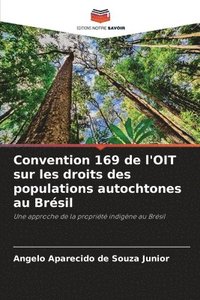 bokomslag Convention 169 de l'OIT sur les droits des populations autochtones au Brésil