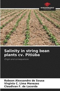 bokomslag Salinity in string bean plants cv. Pitiba