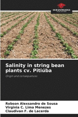 bokomslag Salinity in string bean plants cv. Pitiba