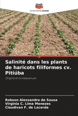 Salinité dans les plants de haricots filiformes cv. Pitiúba