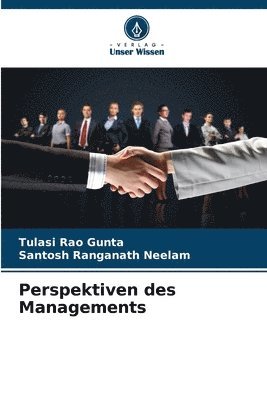 bokomslag Perspektiven des Managements