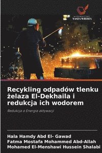 bokomslag Recykling odpadów tlenku &#380;elaza El-Dekhaila i redukcja ich wodorem