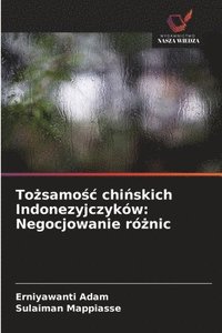 bokomslag To&#380;samo&#347;c chi&#324;skich Indonezyjczykw