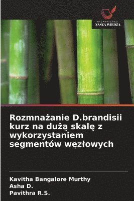 Rozmna&#380;anie D.brandisii kurz na du&#380;&#261; skal&#281; z wykorzystaniem segmentów w&#281;zlowych 1