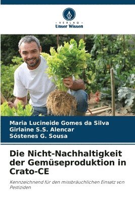 Die Nicht-Nachhaltigkeit der Gemüseproduktion in Crato-CE 1