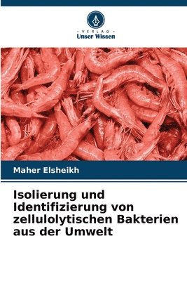 bokomslag Isolierung und Identifizierung von zellulolytischen Bakterien aus der Umwelt