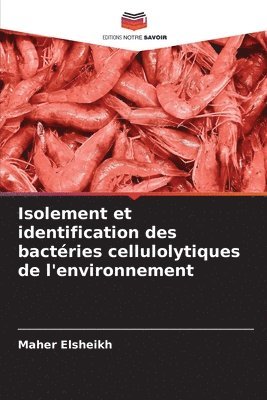 bokomslag Isolement et identification des bactries cellulolytiques de l'environnement