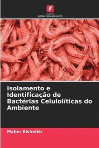 bokomslag Isolamento e Identificao de Bactrias Celulolticas do Ambiente