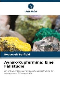 bokomslag Aynak-Kupfermine: Eine Fallstudie