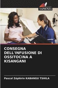 bokomslag Consegna Dell'infusione Di Ossitocina a Kisangani