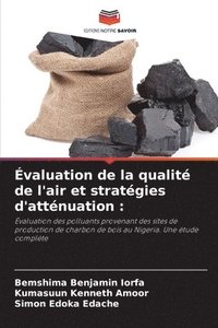 bokomslag Évaluation de la qualité de l'air et stratégies d'atténuation