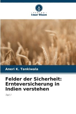 Felder der Sicherheit 1