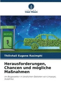 bokomslag Herausforderungen, Chancen und mgliche Manahmen