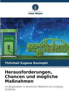 Herausforderungen, Chancen und mgliche Manahmen 1