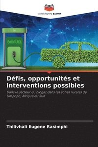 bokomslag Défis, opportunités et interventions possibles