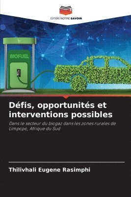 Défis, opportunités et interventions possibles 1