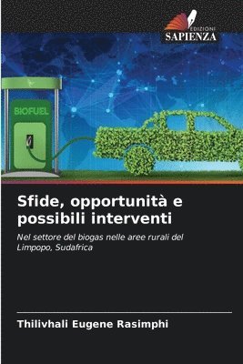 Sfide, opportunità e possibili interventi