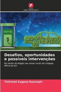 bokomslag Desafios, oportunidades e possveis intervenes