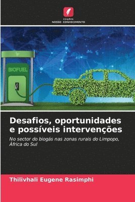 Desafios, oportunidades e possíveis intervenções 1