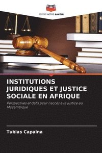 bokomslag Institutions Juridiques Et Justice Sociale En Afrique