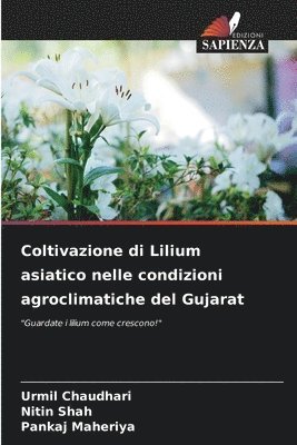 Coltivazione di Lilium asiatico nelle condizioni agroclimatiche del Gujarat 1