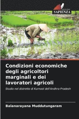 bokomslag Condizioni economiche degli agricoltori marginali e dei lavoratori agricoli