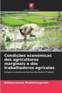 bokomslag Condições económicas dos agricultores marginais e dos trabalhadores agrícolas