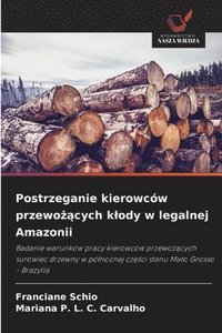 bokomslag Postrzeganie kierowców przewo&#380;&#261;cych klody w legalnej Amazonii