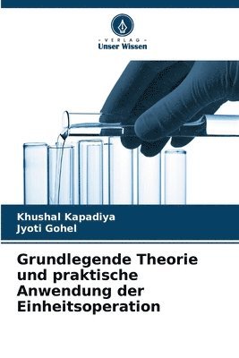 bokomslag Grundlegende Theorie und praktische Anwendung der Einheitsoperation