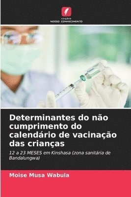 bokomslag Determinantes do não cumprimento do calendário de vacinação das crianças