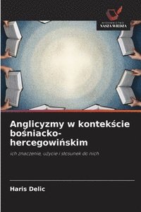 bokomslag Anglicyzmy w kontek&#347;cie bo&#347;niacko-hercegowi&#324;skim