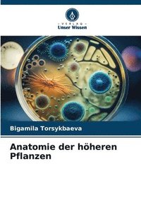 bokomslag Anatomie der höheren Pflanzen