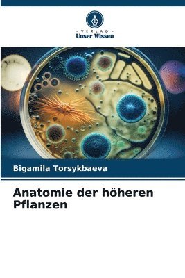 bokomslag Anatomie der hheren Pflanzen